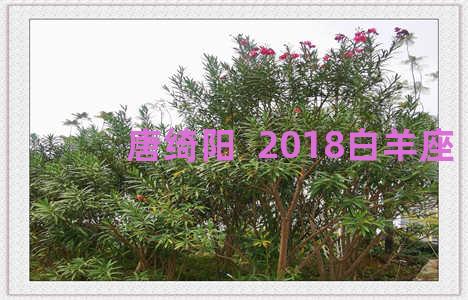 唐绮阳  2018白羊座